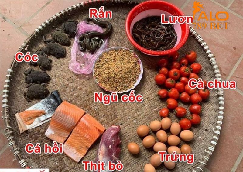 Chế độ ăn uống nhiều dinh dưỡng hơn