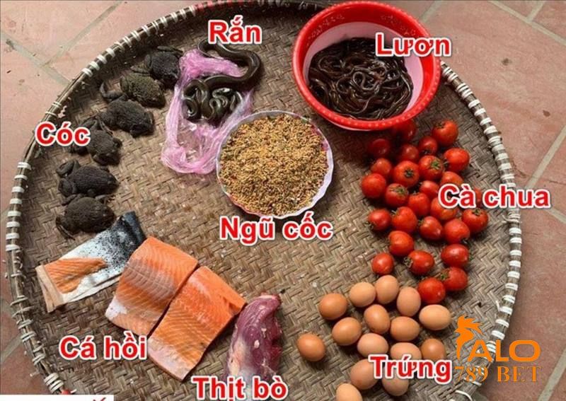 Kỹ thuật nuôi gà đá Cao Lãnh