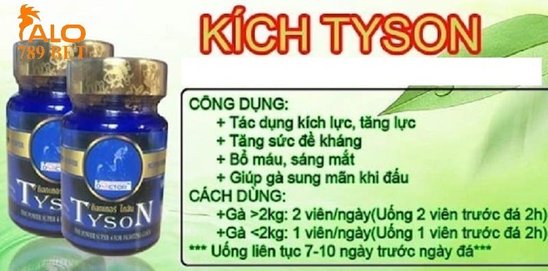 Thuốc tăng lực cho gà đá Tyson mỗi khi ra trận khả năng chống chịu rất cao